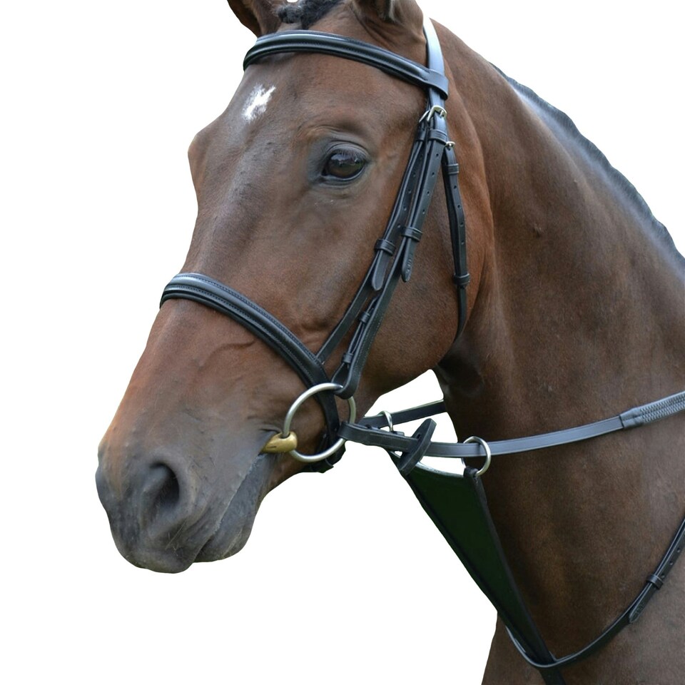 image 1 of Hy Leather Bib Martingale - Black - Full