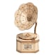 image 1 of Rolife 3D Wooden Puzzle Bi-Plane Gramophone