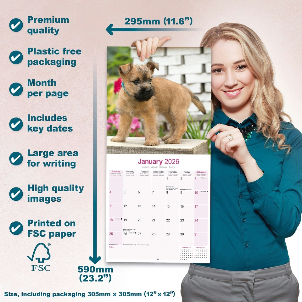 image 1 of Cairn Terrier 2026 Calendar | Square Wall Calendar | Dog Breed Gift | Plastic Free Packaging | by Avonside Publishing