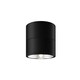 image 1 of Spin Outdoor Surface Mounted Downlight Graphite 3000K 1050lm IP54