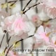 image 9 of HOMCOM 180cm Cherry Blossom Tree Light with 350 LED Lights Fake Sakura Tree