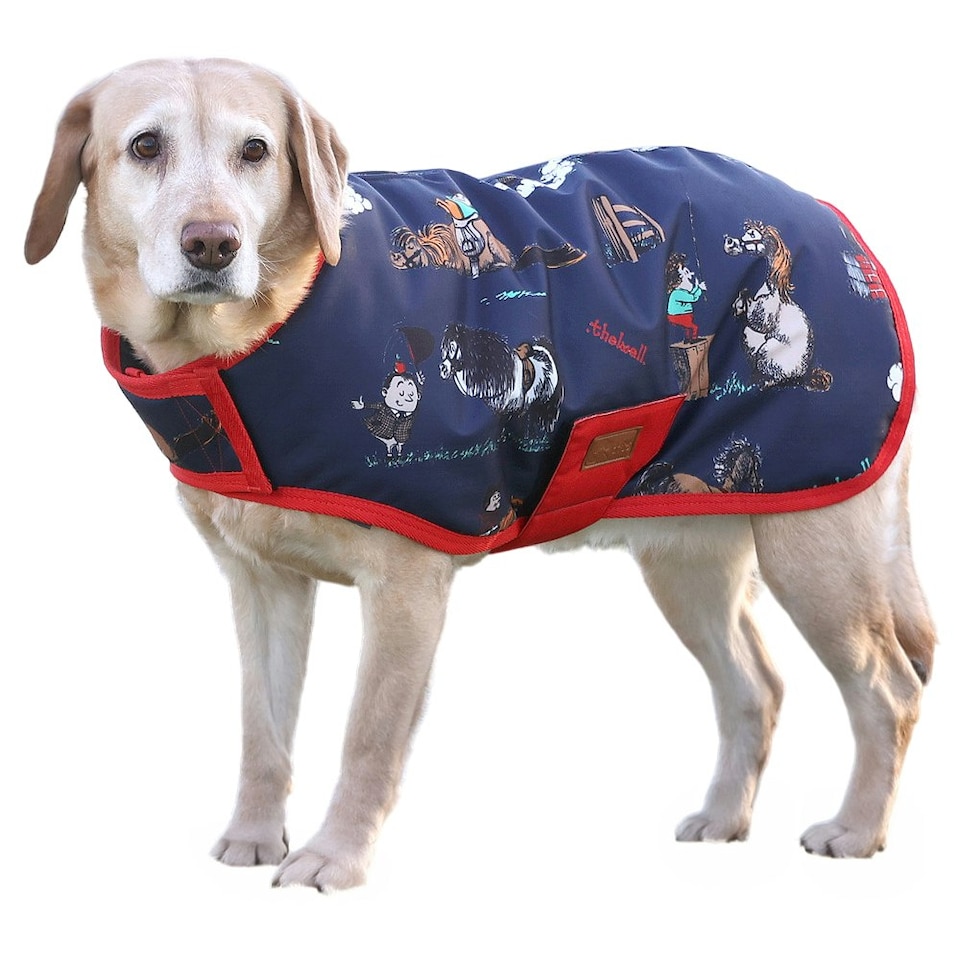 Thelwell Benji & Flo Practice Makes Perfect Dog Coat - Navy/Red - XS