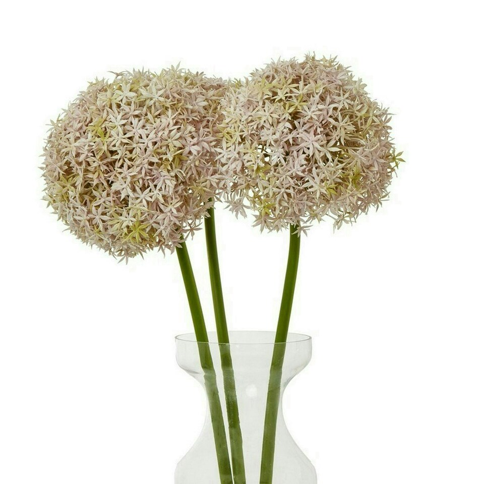 image 1 of Giant Allium (Single Stem Flower) - Plastic - L21 x W21 x H90 cm - Lilac