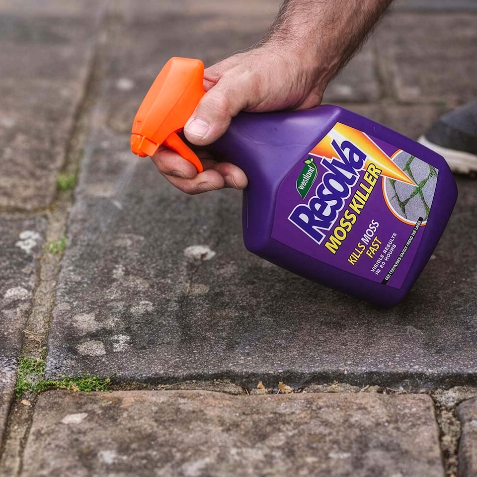 image 1 of Resolva Moss Killer Spray Ready-to-Use 3 Litre