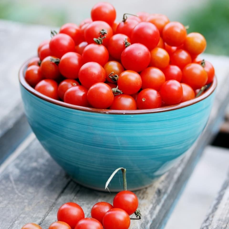image 1 of Tomato Bite Size 1 Seed Packet (6 Seeds)