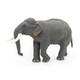 image 10 of PAPO Wild Animal Kingdom Asian Elephant Toy Figure
