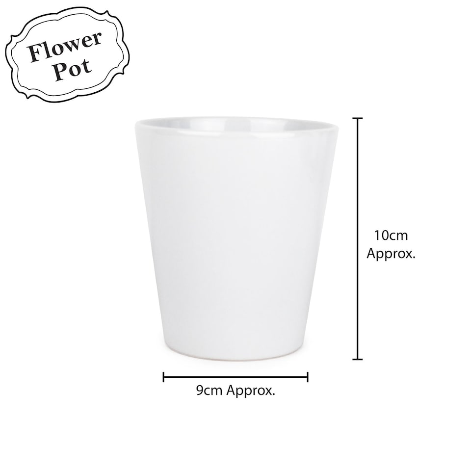 image 1 of Minimalist Design Small Ceramic Thyme Plant Pot