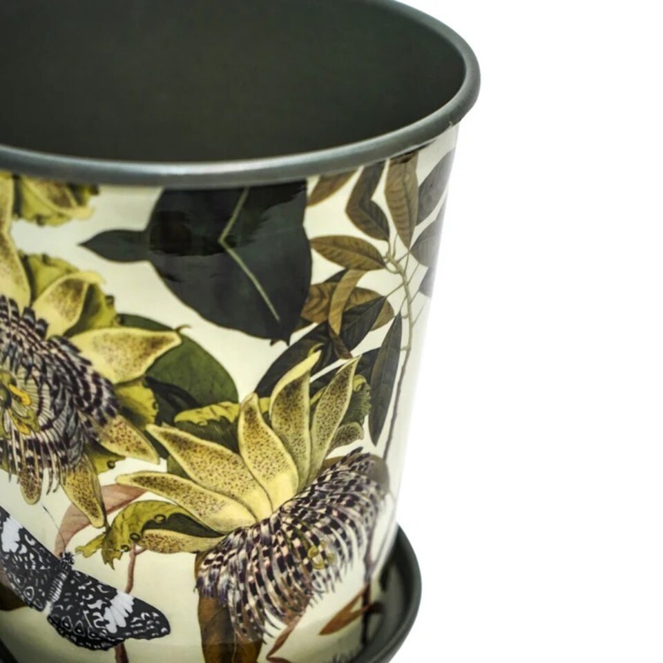 image 1 of Kew Botanical Retreat Planter with Saucer - Mild Steel - L14 x W14 x H16 cm - Green | Green