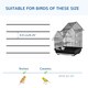 image 10 of PawHut Metal Bird Cage, With Plastic Perch, Swing Ring, Handle, 39 x 33 x 47cm
