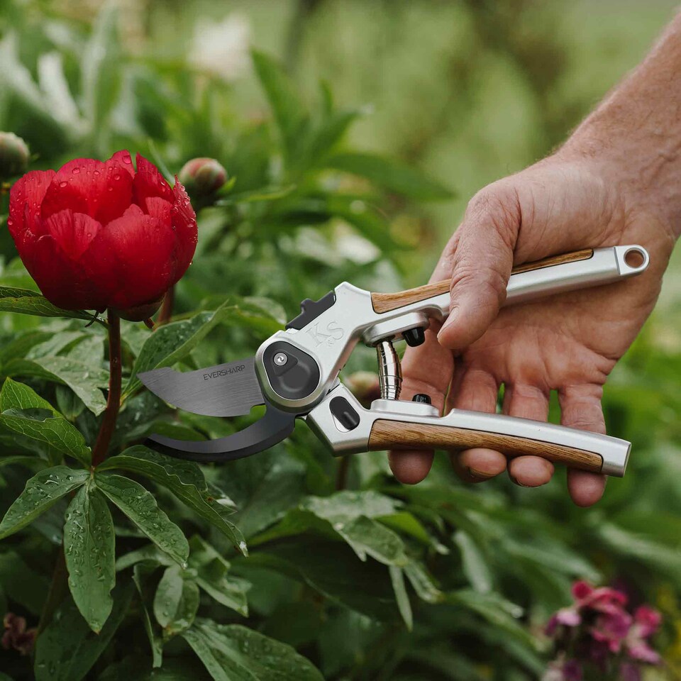 image 1 of Kent & Stowe Eversharp Premium Secateurs Duo Gift Set | Brown