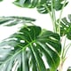 image 7 of 150cm (5ft) Luxury Monstera Plant Black Pot Copper Metal Planter