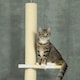 image 8 of PawHut 220-260cm Kitten Tower, Multi-Layer Floor to Ceiling Cat Tree, Yellow