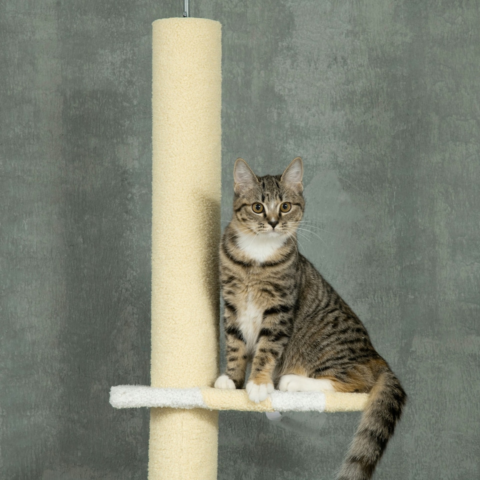 image 1 of PawHut 220-260cm Kitten Tower, Multi-Layer Floor to Ceiling Cat Tree, Yellow