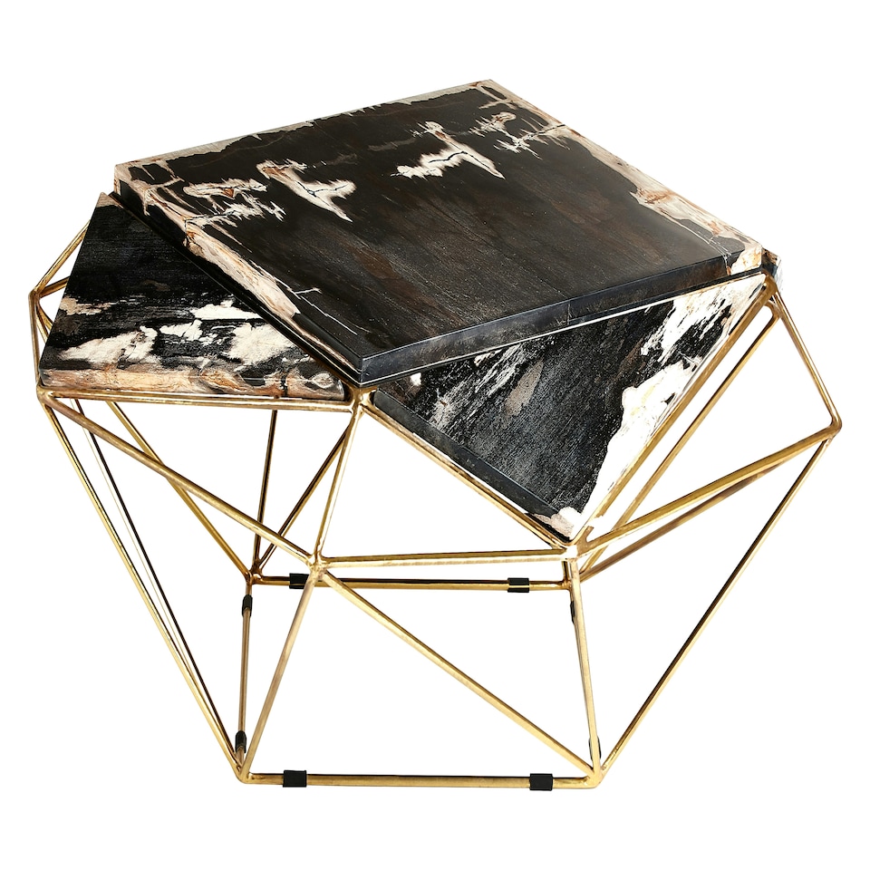image 1 of Distinctive Dark Petrified Wood Coffee Table, Natural Design Modern Coffee Table, Elegant Decorative Table | Brown