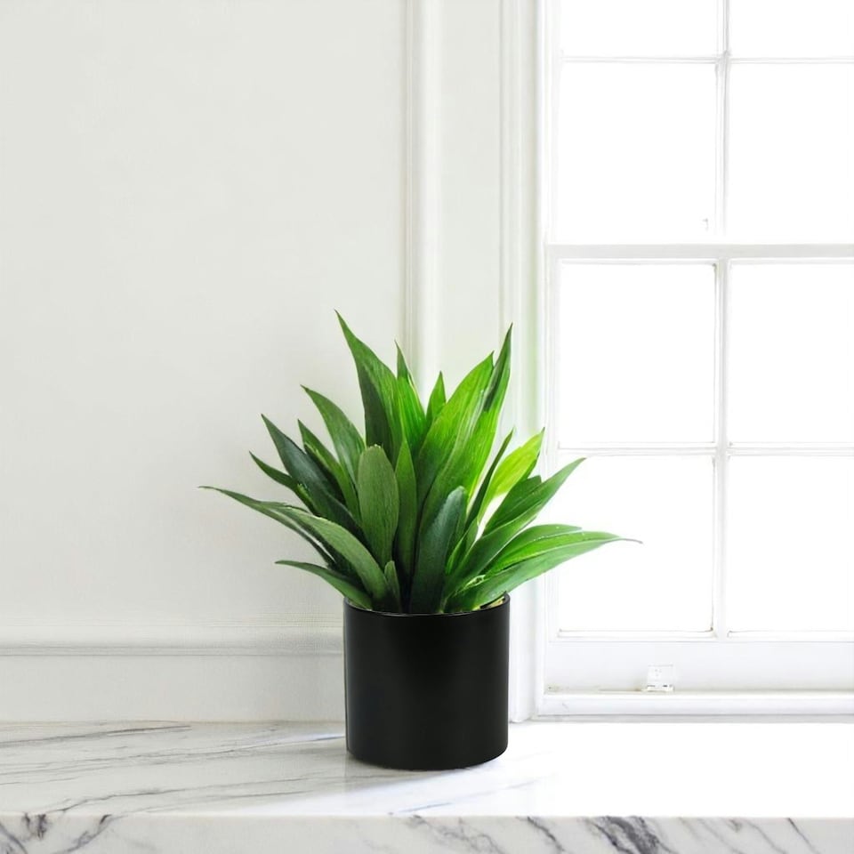 image 1 of Minimalist Matte Black Ceramic Indoor Planter - H13 x W13.5cm Black
