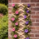 image 4 of Marco Paul 180cm x 45cm Expanding Wooden Trellis