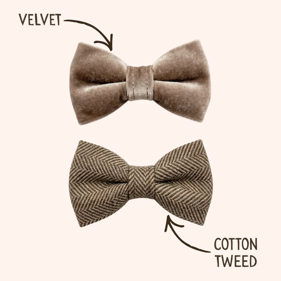 image 1 of Tails of Glory Brown Tweed and Velvet Bow Set