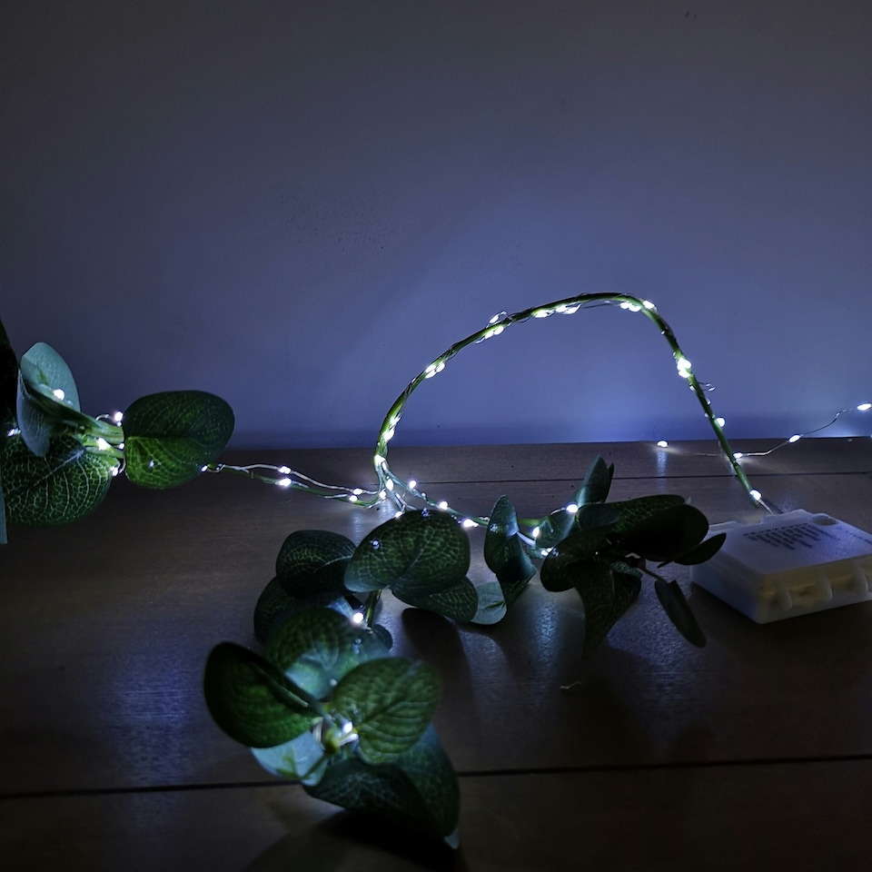 image 1 of Premier MicroBrights Lights 50 LED White 2.5m