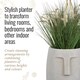 image 5 of Textured Concrete Effect Beige Oval Face Planter Indoor L19 D18 H18.5 cm, 3.3 ltrs Cap.