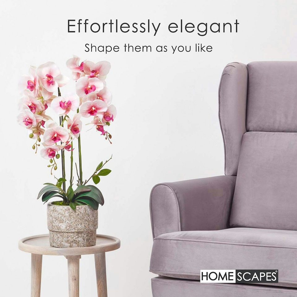 image 1 of Homescapes Pink Orchid 64 cm Phalaenopsis in Cement Pot Extra Large, 3 Stems