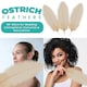 image 4 of 50cm - 60cm Large Ostrich Feathers, Showgirl Spadones - 5pcs