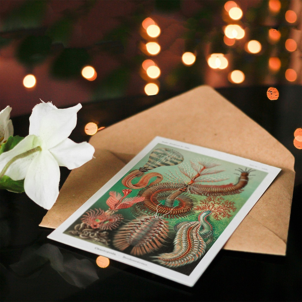 image 1 of Ernst Haeckel Art Card Chaetopoda Annelid Marine Worms