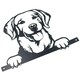 image 3 of Black Metal Peeking Retriever Silhouette with Fixing Plate Garden Ornament Gift