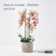 image 2 of Homescapes Pink Orchid 64 cm Phalaenopsis in Cement Pot Extra Large, 3 Stems