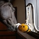 image 2 of LeMieux Horse Toy N/A | Colour: Flying Pig
Size: One Size