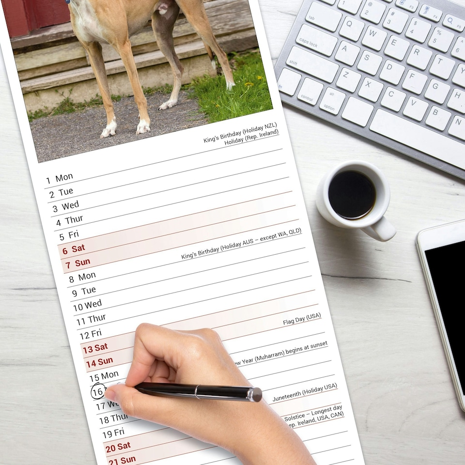 image 1 of Greyhound Slim 2026 Calendar | Slimline Wall Calendar | Dog Breed Gift | Plastic Free Packaging | by Avonside Publishing [Calendar] Avonside Publishing Ltd