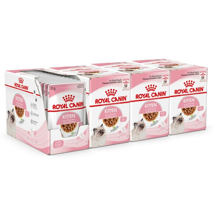 Royal Canin Wet Cat Food Kitten Pouch In Gravy 48 X 85G