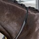 image 8 of LeMieux Kris Extreme Rubber Reins Black | Pony