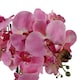 image 3 of Artificial Orchid with Glass Planter Pink Botanik