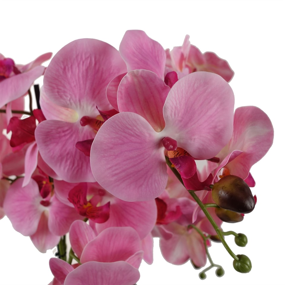image 1 of Artificial Orchid with Glass Planter Pink Botanik
