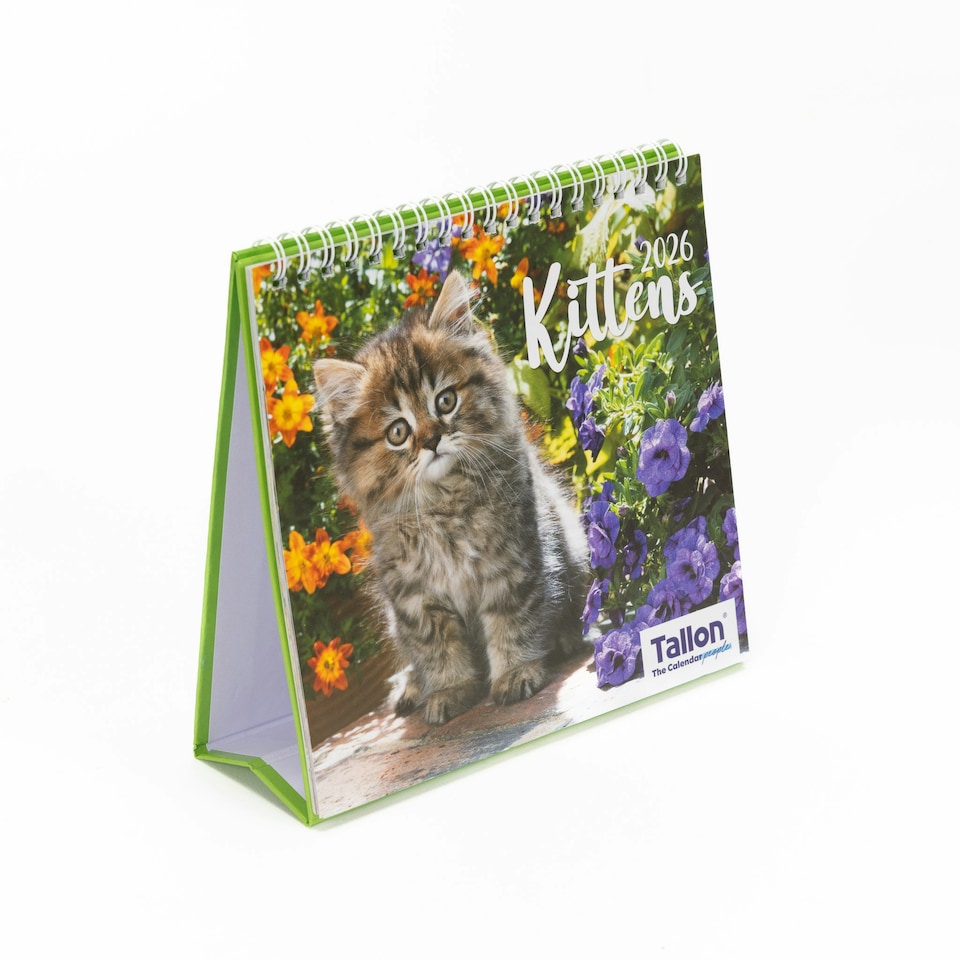 image 1 of 2026 Desk Calendar Kittens Design