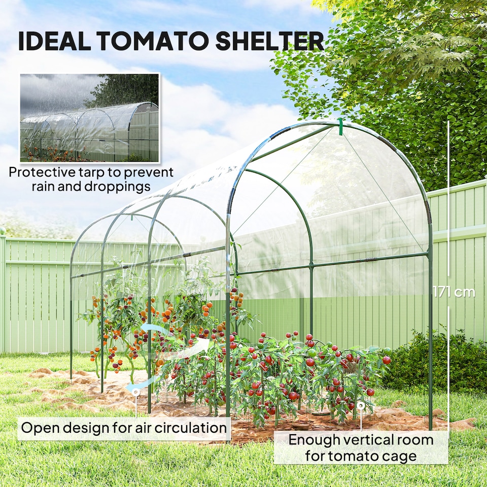 image 1 of Outsunny Tomato Greenhouse with Top Tap, Pointed Bottom and Guy Ropes, Clear