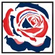 image 2 of Red & blue rose print (Picutre Frame) Grey | S