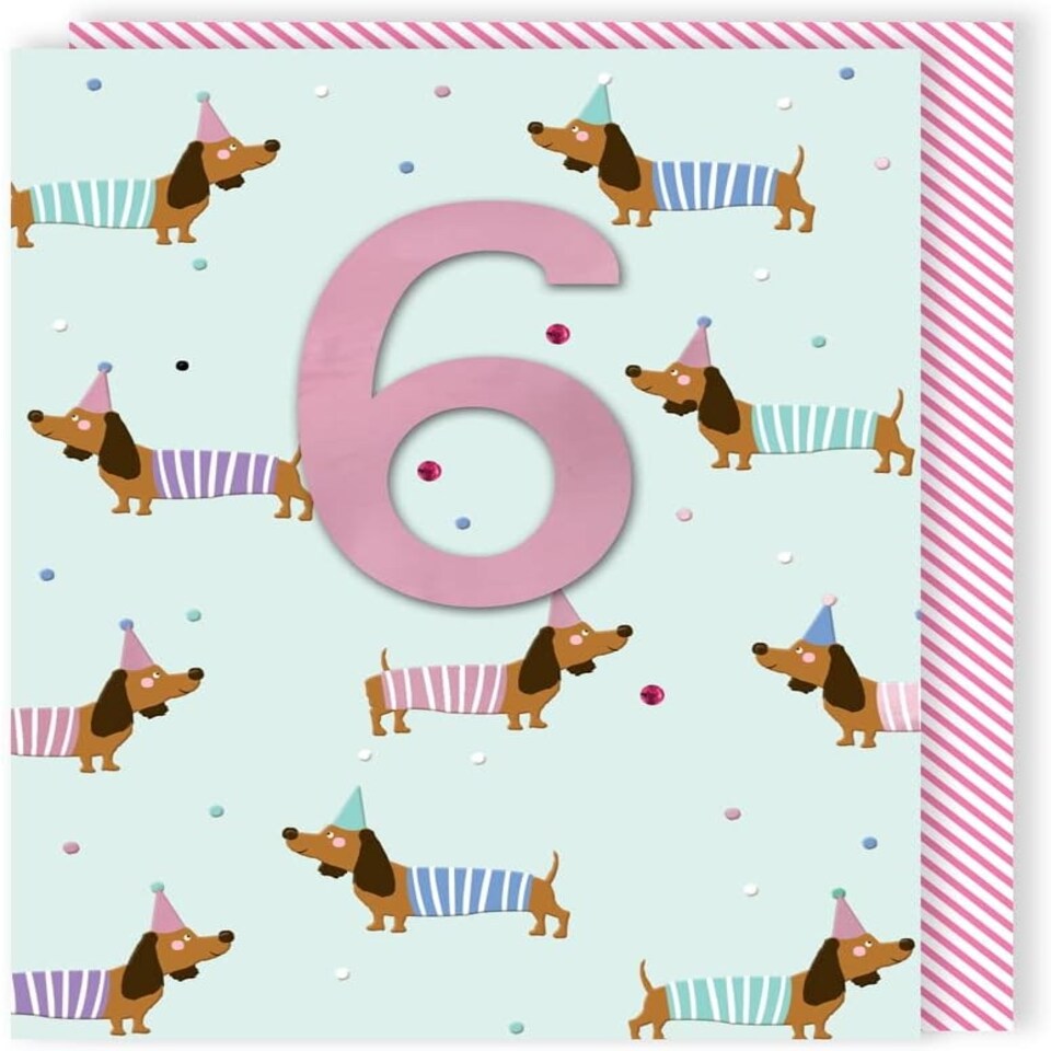 image 1 of Sausage Dog Embellished 6th Birthday Card