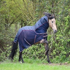 Rhinegold Mombasa Fly Rug + Neck Cover Blue | Size: 7ft 3
Colour: Navy Blue