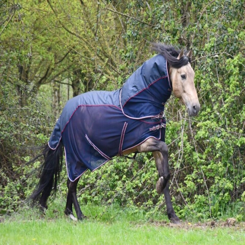 image 1 of Rhinegold Mombasa Fly Rug + Neck Cover Blue | Size: 7ft 3
Colour: Navy Blue