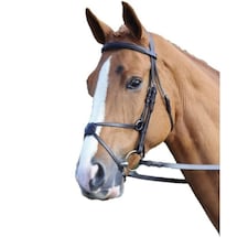 Aviemore Mexican Leather Horse Bridle - Black - Cob