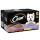 image 3 of Cesar Juicy Hotpot Mixed Selection 8x150g (Pack of 3)
