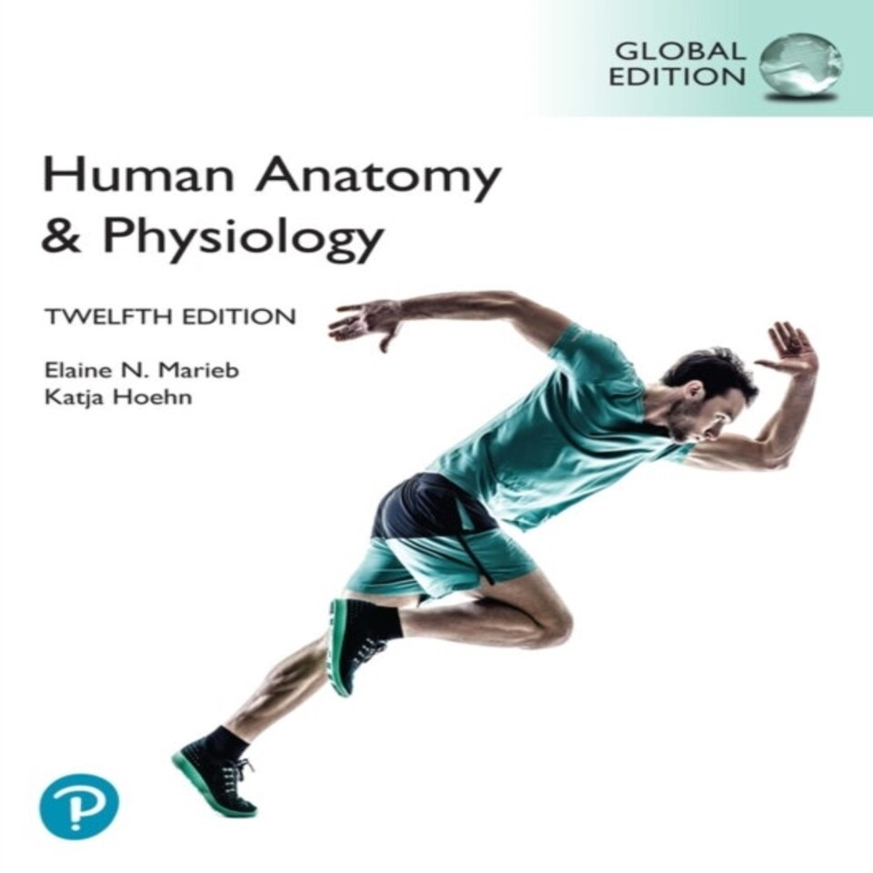 Human Anatomy & Physiology Global Edition