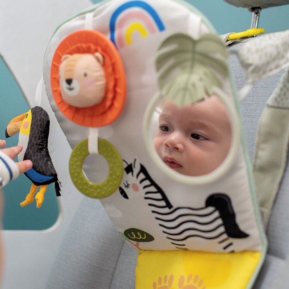 image 1 of Taf Toys Savannah Play & Kick