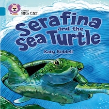 Serafina And The Sea Turtle