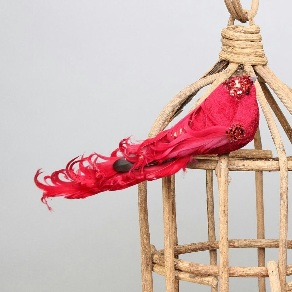 image 1 of Decorative Red Showfeather Bird With Clip