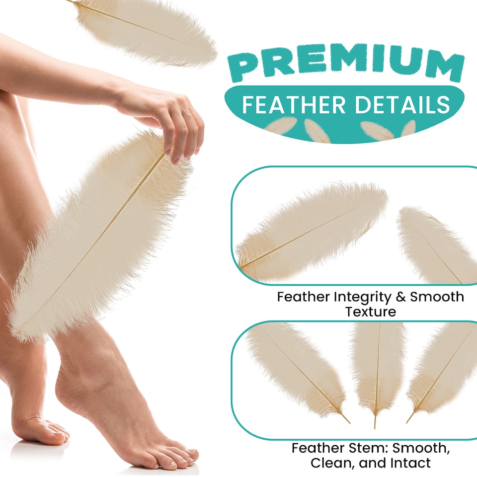 image 1 of 50cm - 60cm Large Ostrich Feathers, Showgirl Spadones - 5pcs