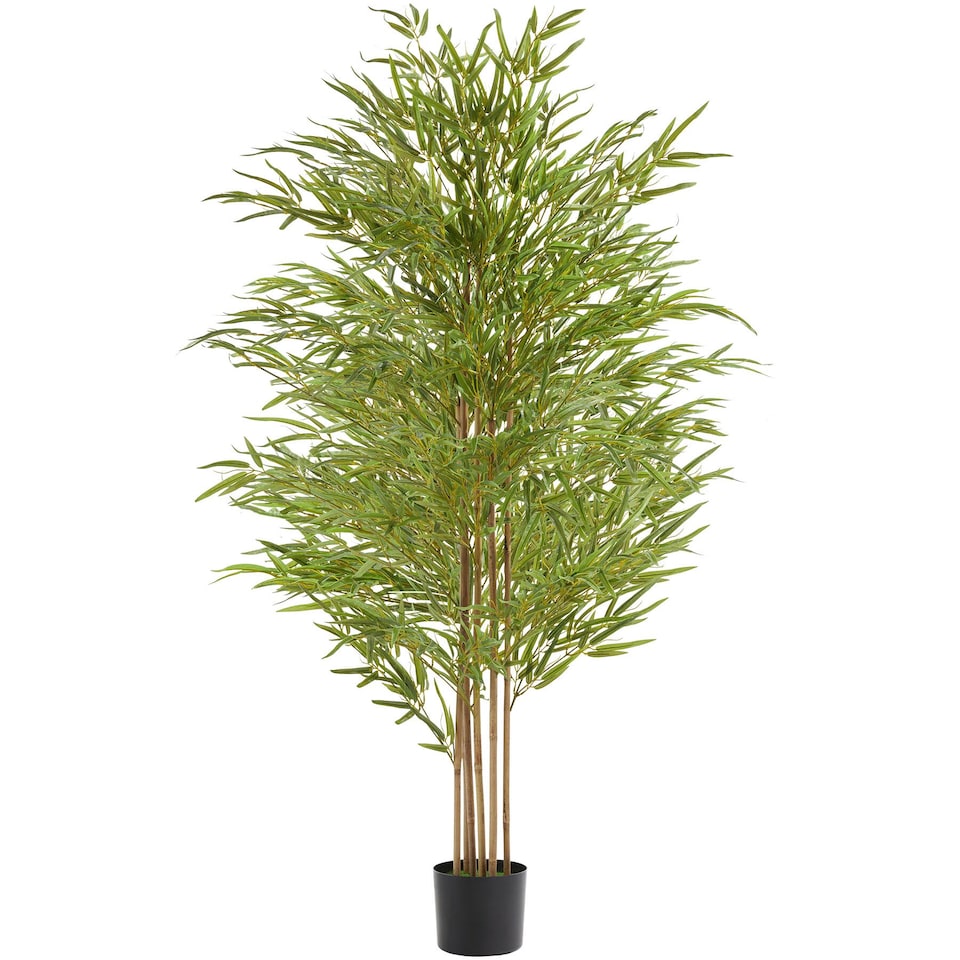 image 1 of Artificial Plant - bamboo grass, realistic look, low-maintenance | Green | green | 50 x 50 x 180 cm | 1