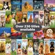 image 8 of Great Pyrenees 2026 Calendar | Square Wall Calendar | Dog Breed Gift | Plastic Free Packaging | by Avonside Publishing