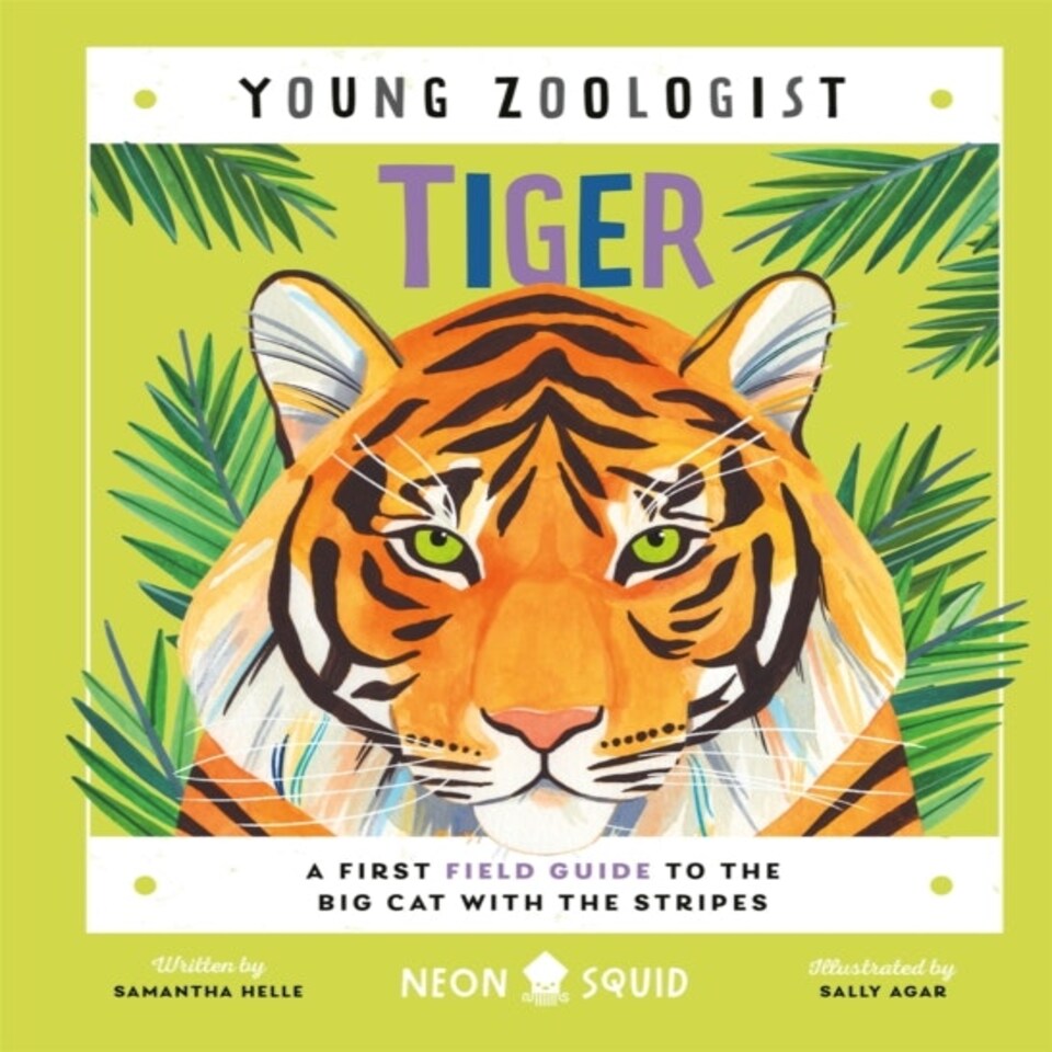 Tiger (young Zoologist)